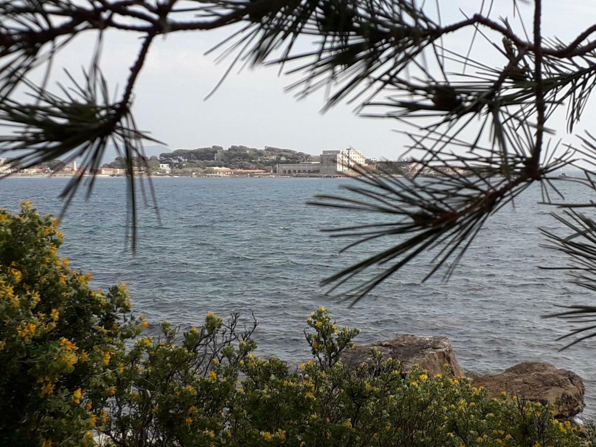Bandol Nature Et Loisirs: Parking/ Piscine Экстерьер фото