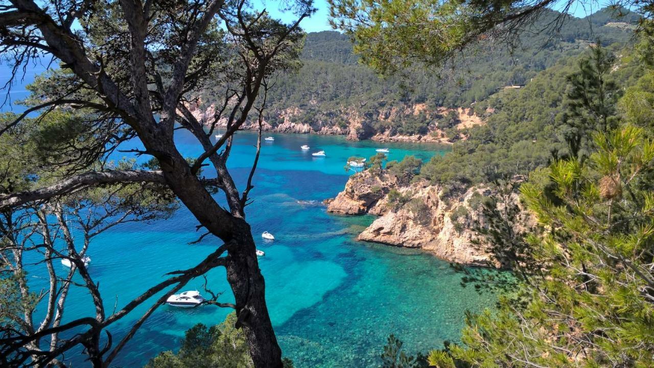 Bandol Nature Et Loisirs: Parking/ Piscine Экстерьер фото